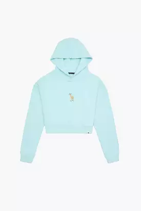 Ceylan Super Soft Crop Hoodie - Mint Mavi