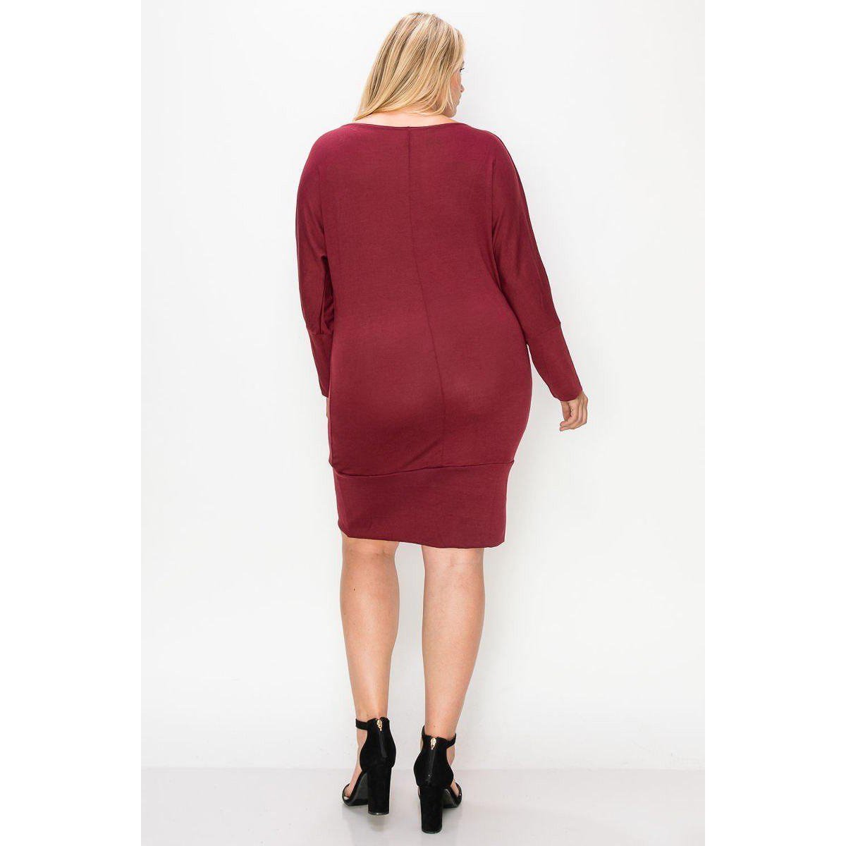 Draped Neck Long Sleeve Dress