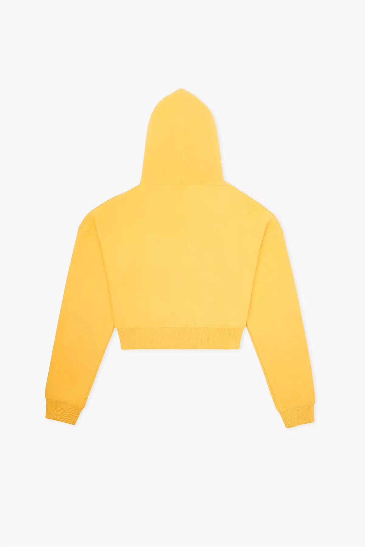 Sincap Super Soft Crop Hoodie - Sar