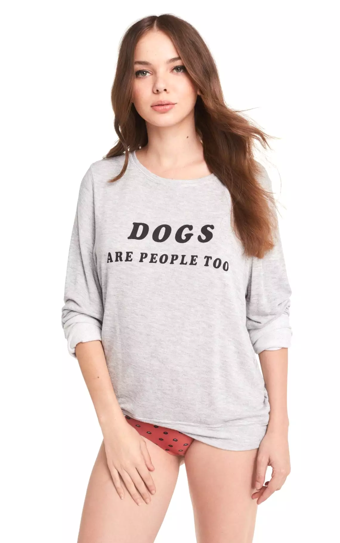 Wildfox Dogs Baggy Beach Jumper Sweater