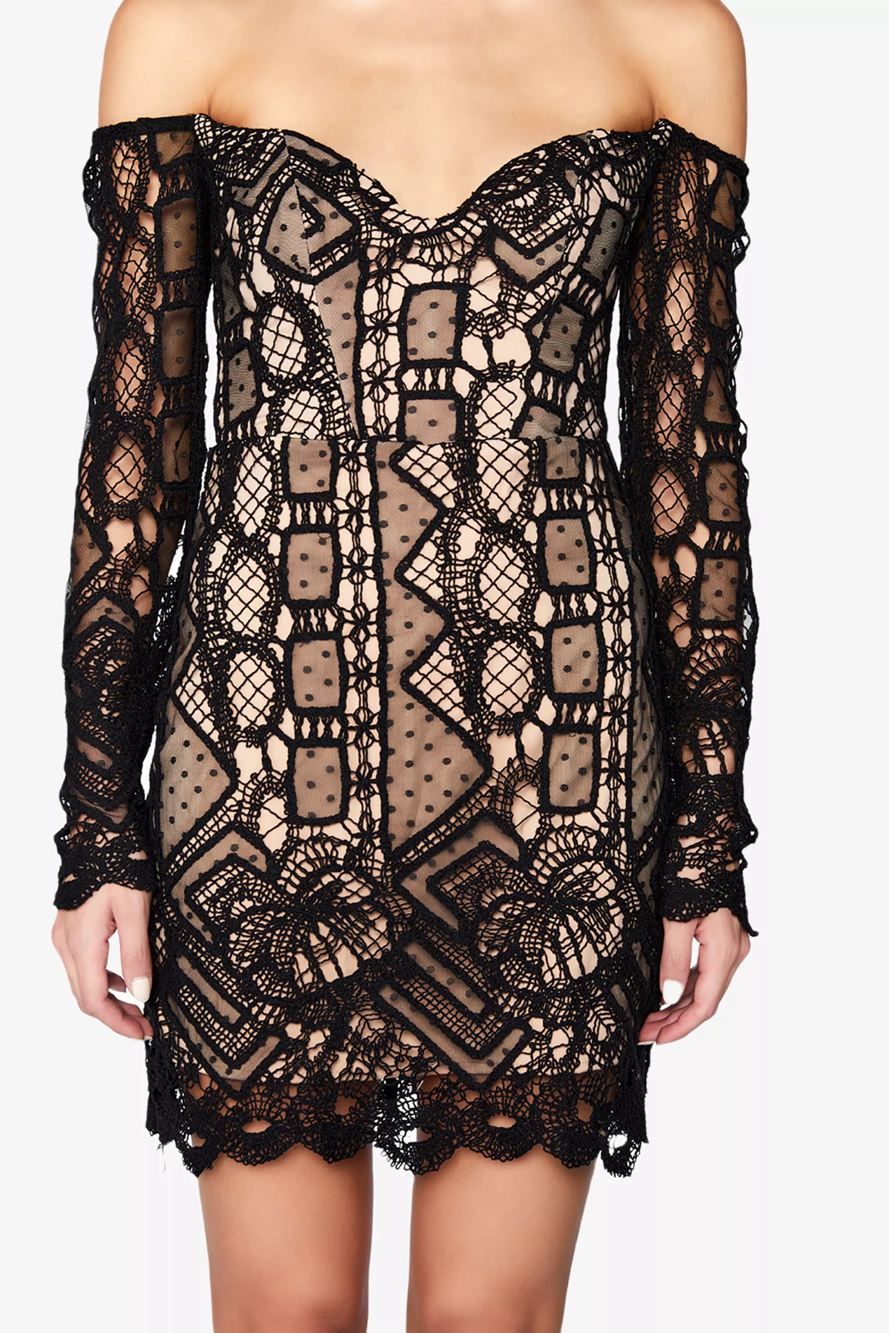 Zendaya Mini Lace Dress